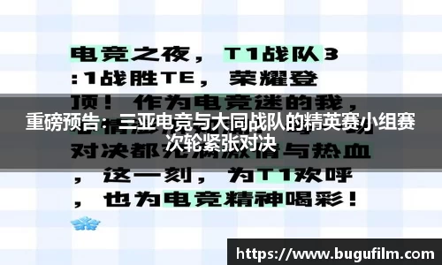 3377官网