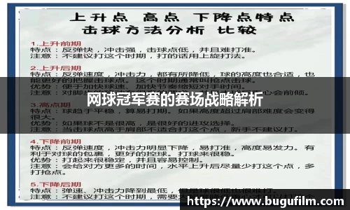 3377官网