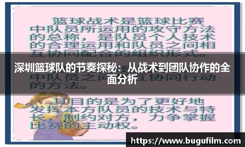 深圳篮球队的节奏探秘：从战术到团队协作的全面分析